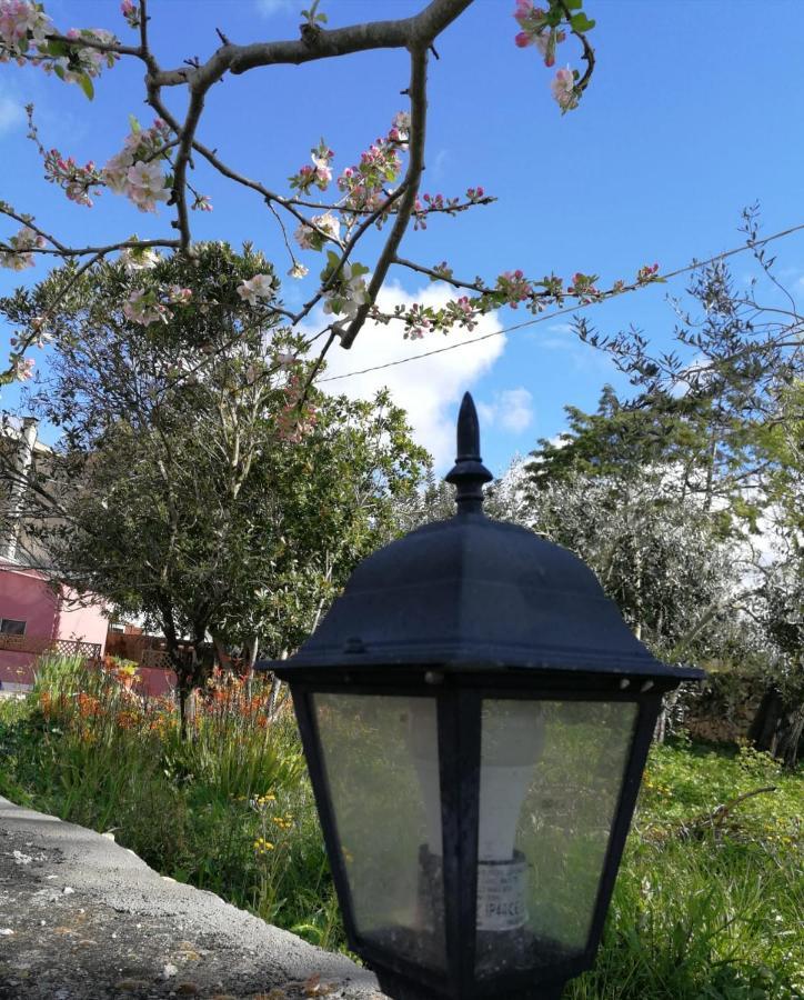 Albero Della Musica Sassari Exterior foto