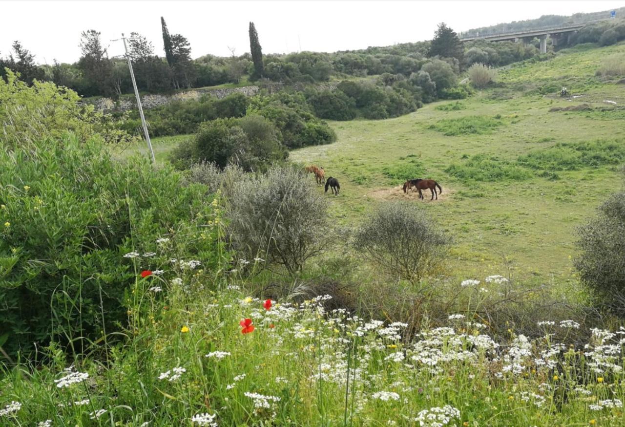 Albero Della Musica Sassari Exterior foto