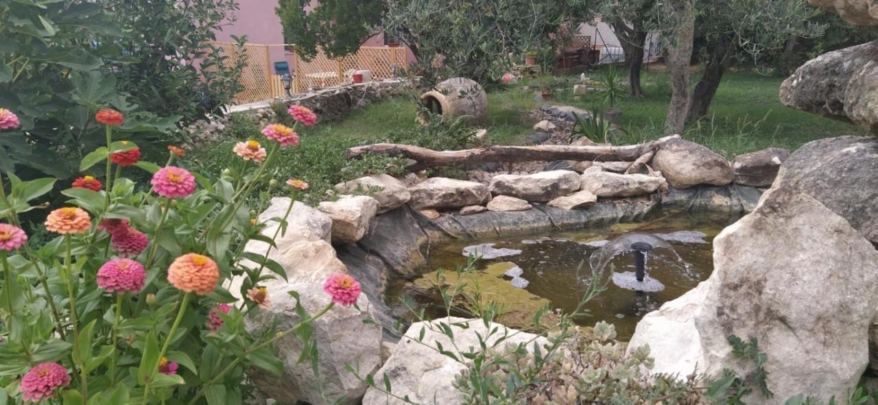 Albero Della Musica Sassari Exterior foto